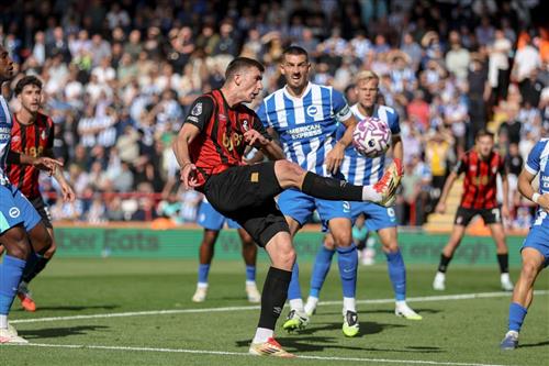 AFC Bournemouth vs Brighton